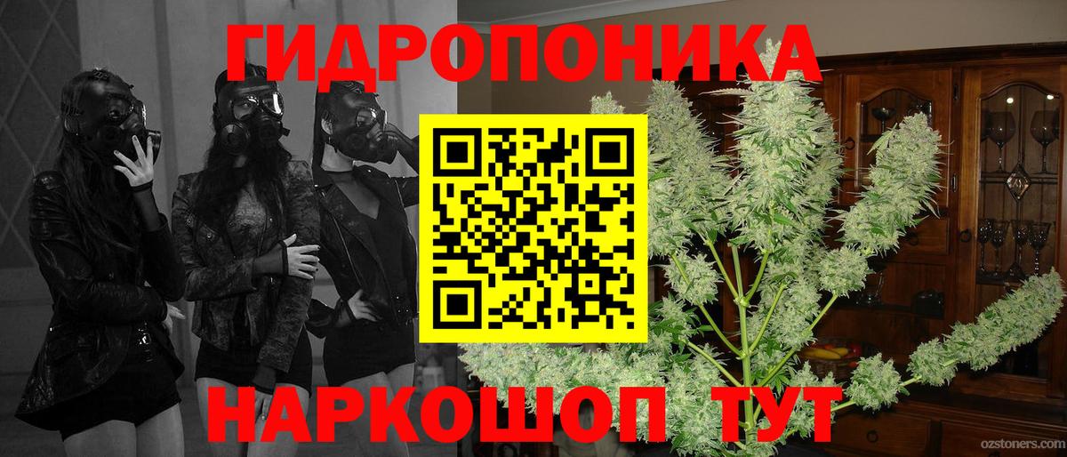 Канабис SATIVA & INDICA Кунгур